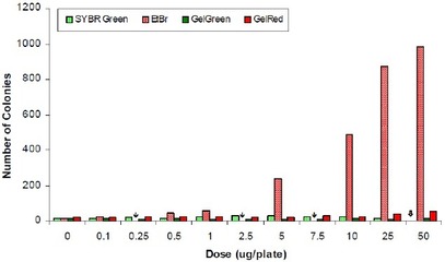 艾姆斯实验(Ames Test)