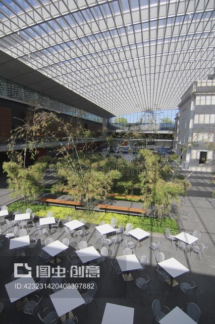 克利夫兰艺术博物馆的艾姆斯家庭中庭Ames Family Atrium at the Cleveland Museum of Art